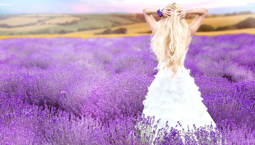 Mariage Mauve Lavande Mariage Mauve Lavande