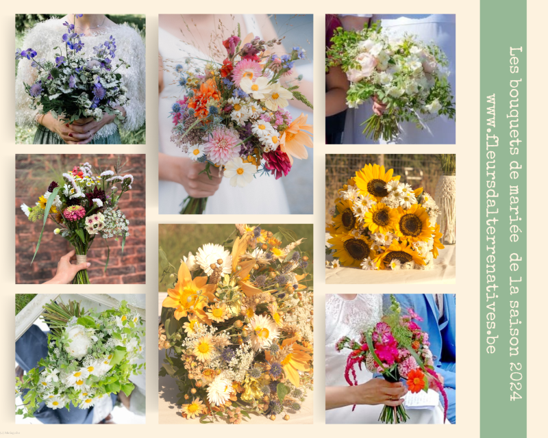 FLEURS D'ALTERRENATIVES