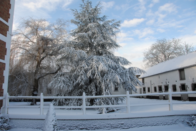 LE DOMAINE DE L'ESCAILLE