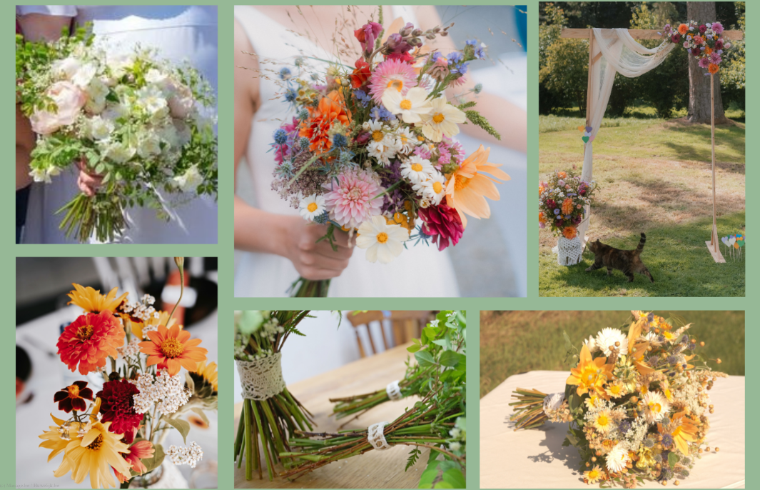 FLEURS D'ALTERRENATIVES